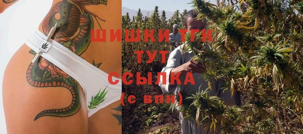 амф Богданович