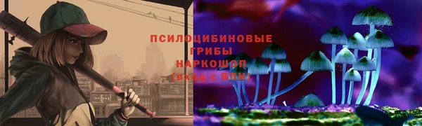 jwh Богородицк