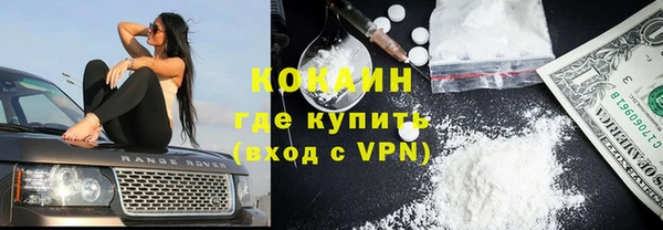 амф Богданович
