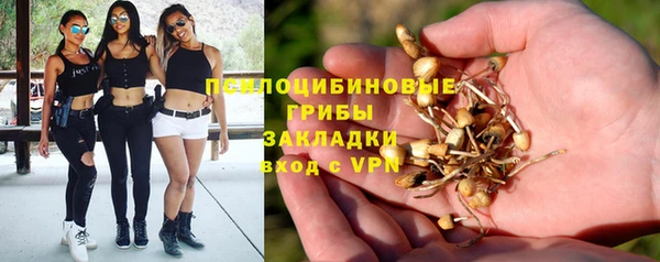 амф Богданович