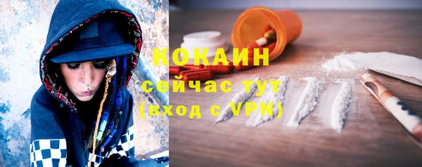 амф Богданович